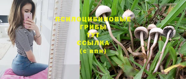 бутик Белокуриха