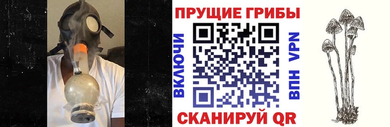 закладки  площадка телеграм  Галлюциногенные грибы GOLDEN TEACHER  Сычёвка 