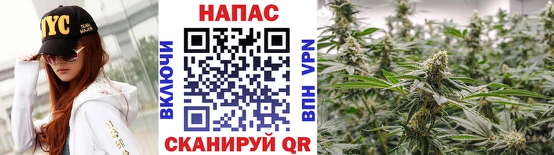 Каннабис OG Kush  хочу наркоту  Сычёвка 